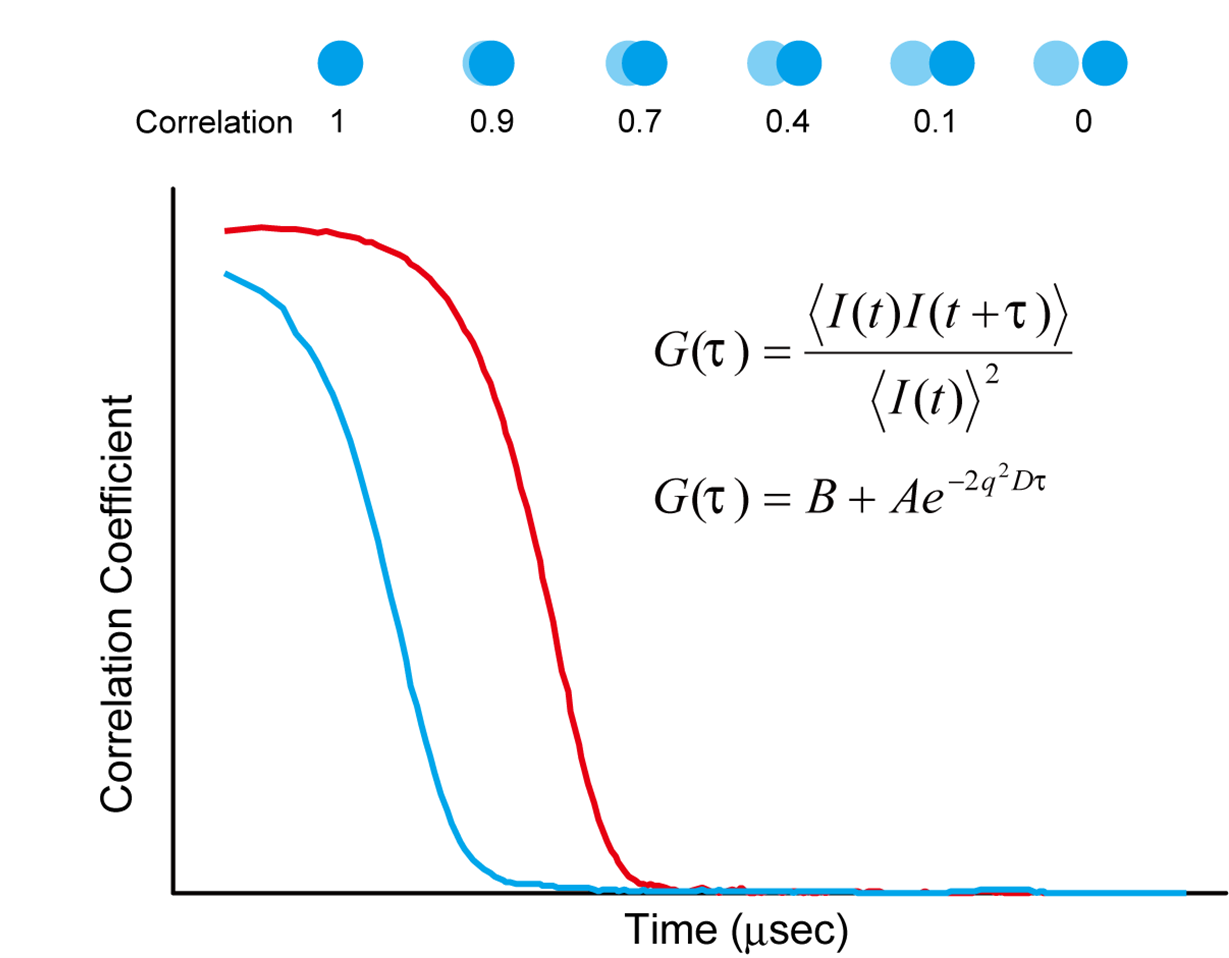 DLS (Dynamic Light Scattering) - 動的光散乱法の原理と分析装置